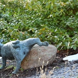 2026-01-08 Brandenburg an der Havel/Waldmöpse/DSC_2322.JPG